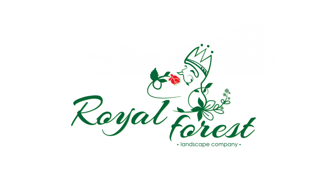 КАК СДЕЛАТЬ ЛАНДШАФТНЫЙ ДИЗАЙН САМОМУ? Royal Forest