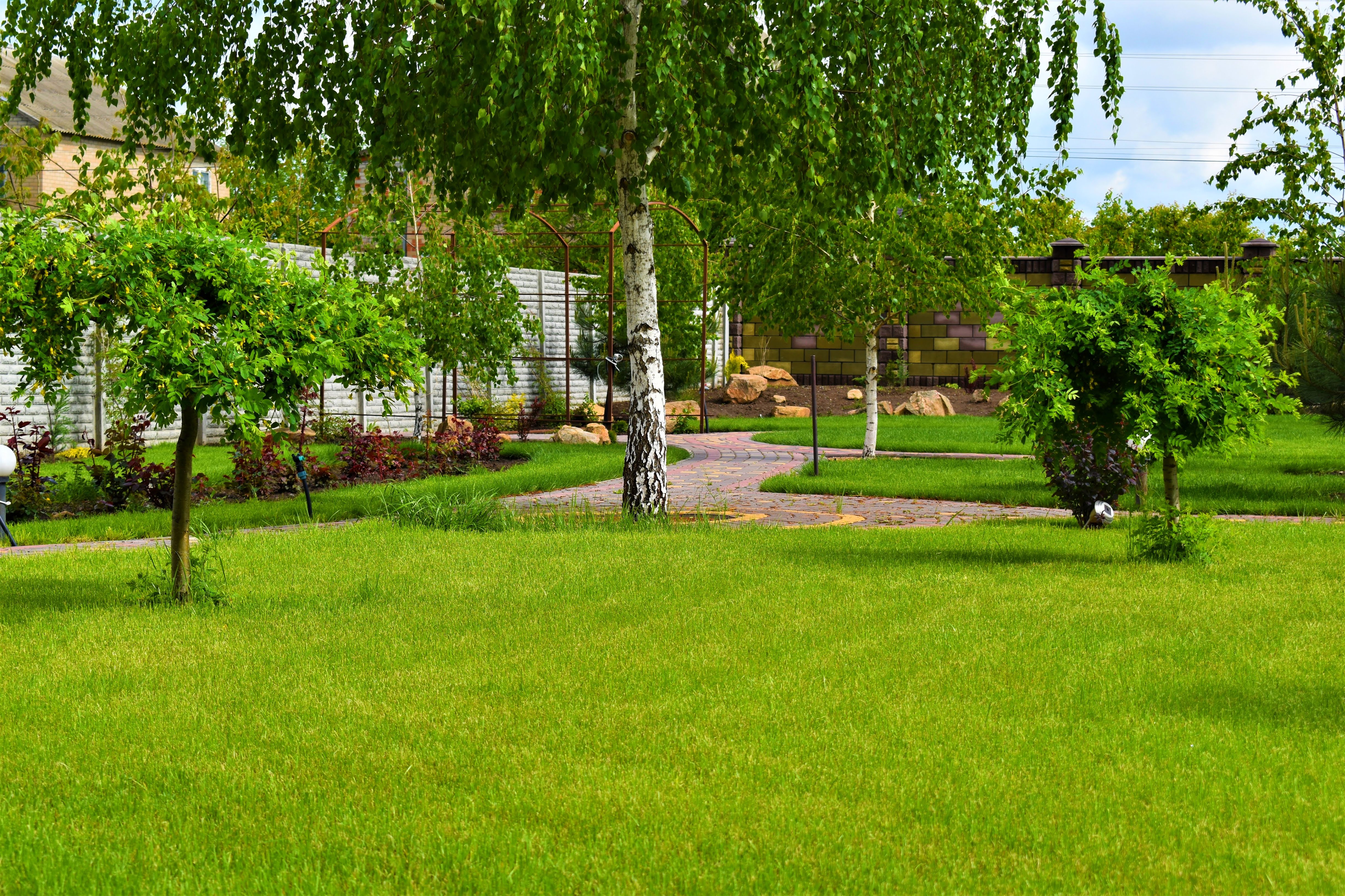 Ландшафт Мелитополь, дизайн ландшафта Мелитополь, ландшафтный дизайн в Мелитополе, ландшафтный дизайн