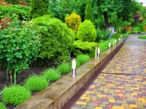 дорожки из тротуарной плитки, укладка тротуарной плитки в Мелитополе, подпорная стена плитка растения, ландшафтный дизайн