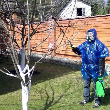 Обрабатывать растения