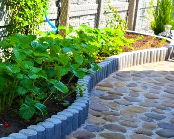 Упорядоченные огороды. порядок в саду, ландшафтный дизайн